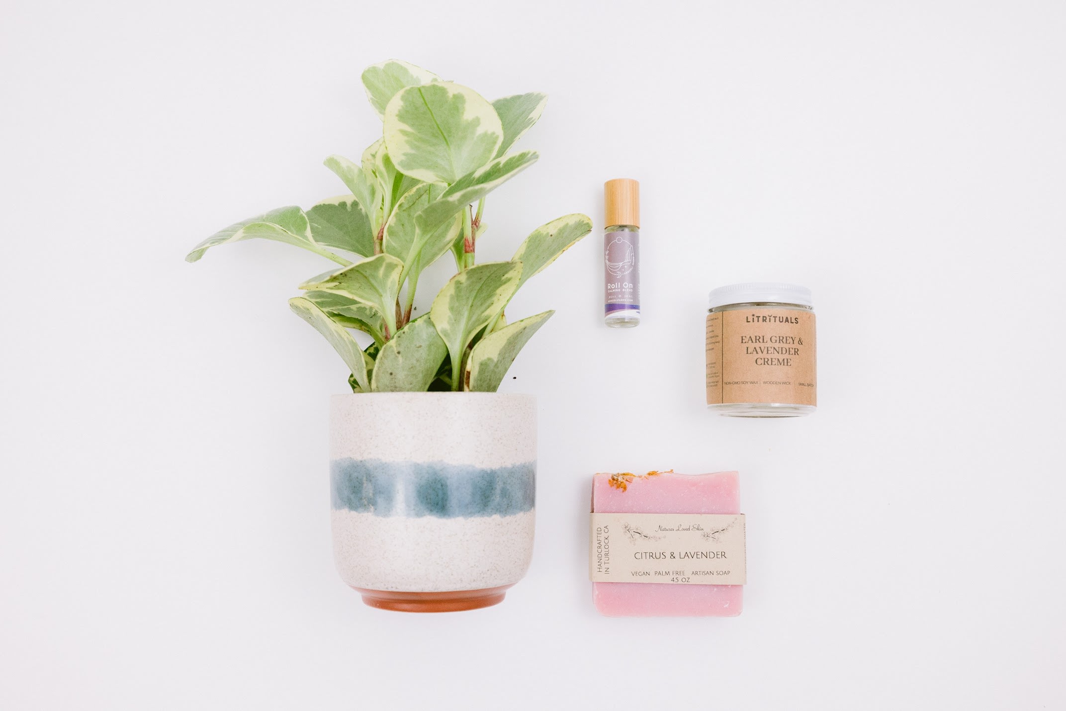 Potted plant with a candle, soap, and small bottle arranged beside it