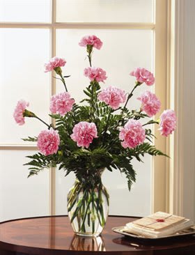 Pink carnations in a clear glass vase on a table