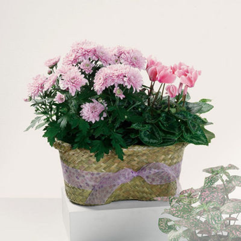 Pink flowers in a woven basket with a lavender ribbon