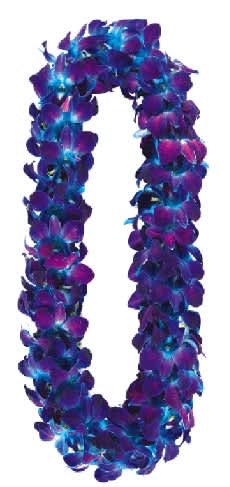 Purple and blue flower lei on a white background