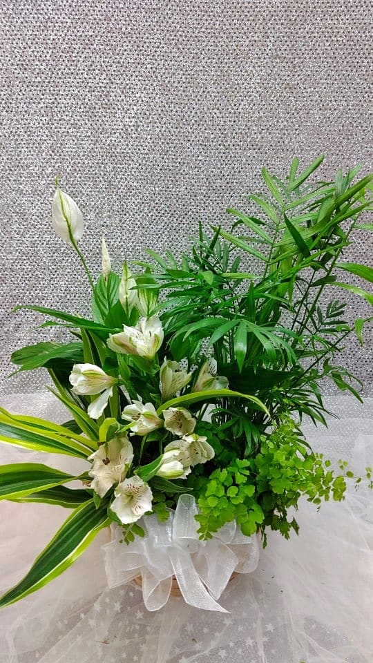 White flowers and lush green foliage in a clear vase with a white ribbon