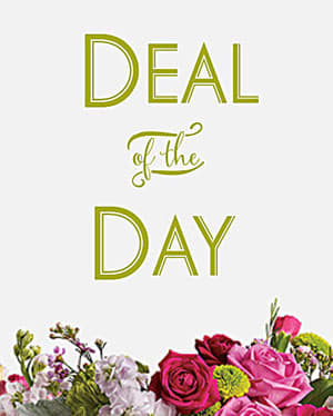 Deal of the Day text above a colorful floral arrangement