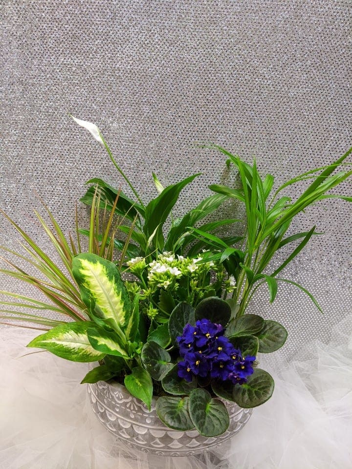 Potted arrangement with purple African violets and mixed green plants in a decorative bowl