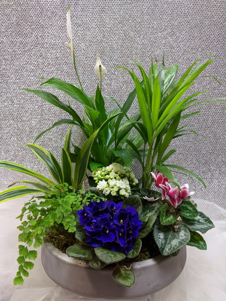 Mixed potted arrangement with white calla lilies and colorful flowering plants