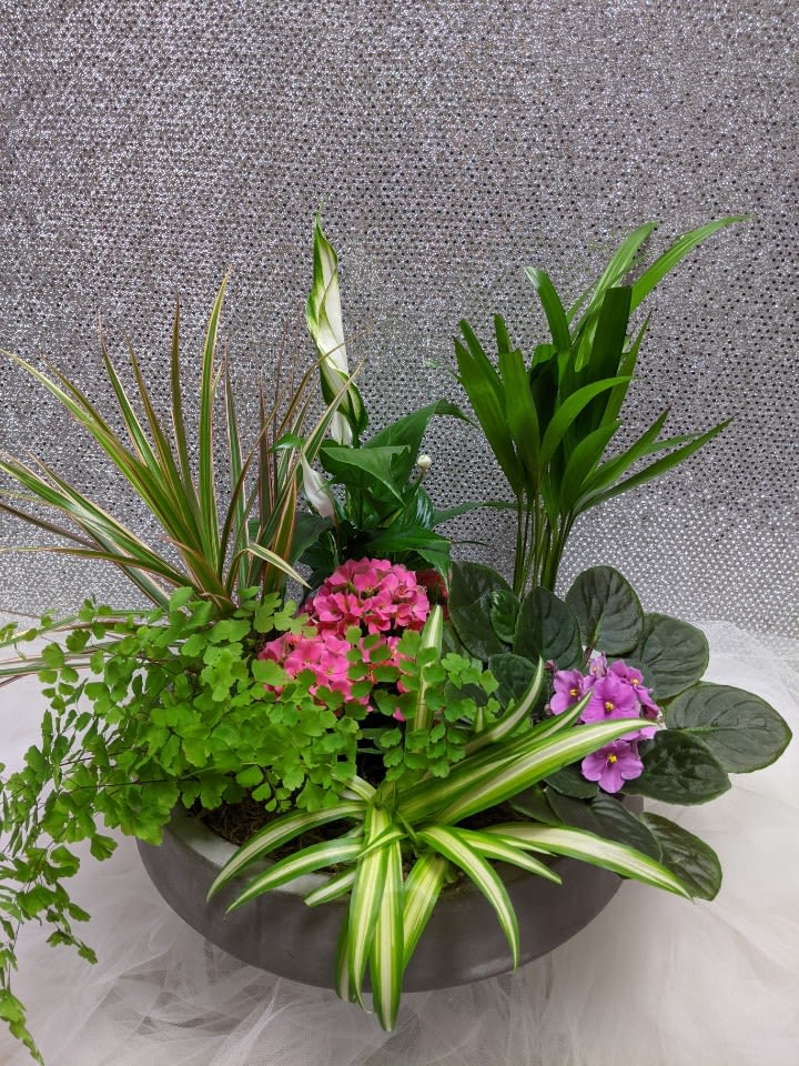 Mixed potted arrangement with pink and purple flowers and assorted foliage