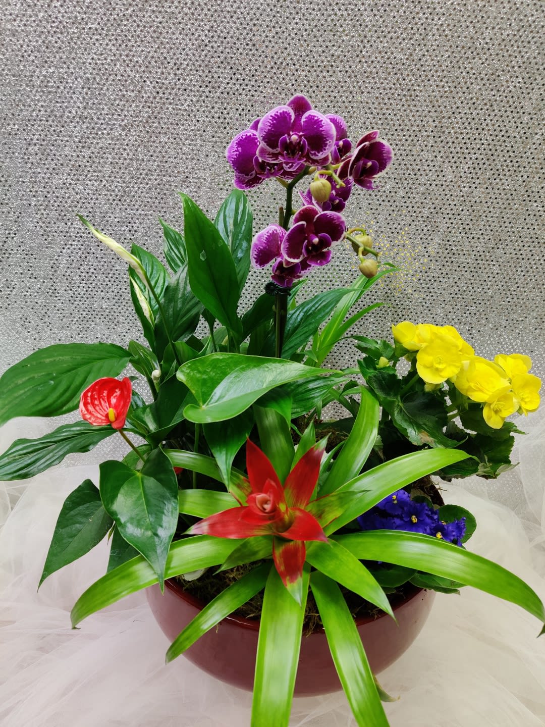 Mixed potted arrangement with purple orchids and bright red and yellow blooms