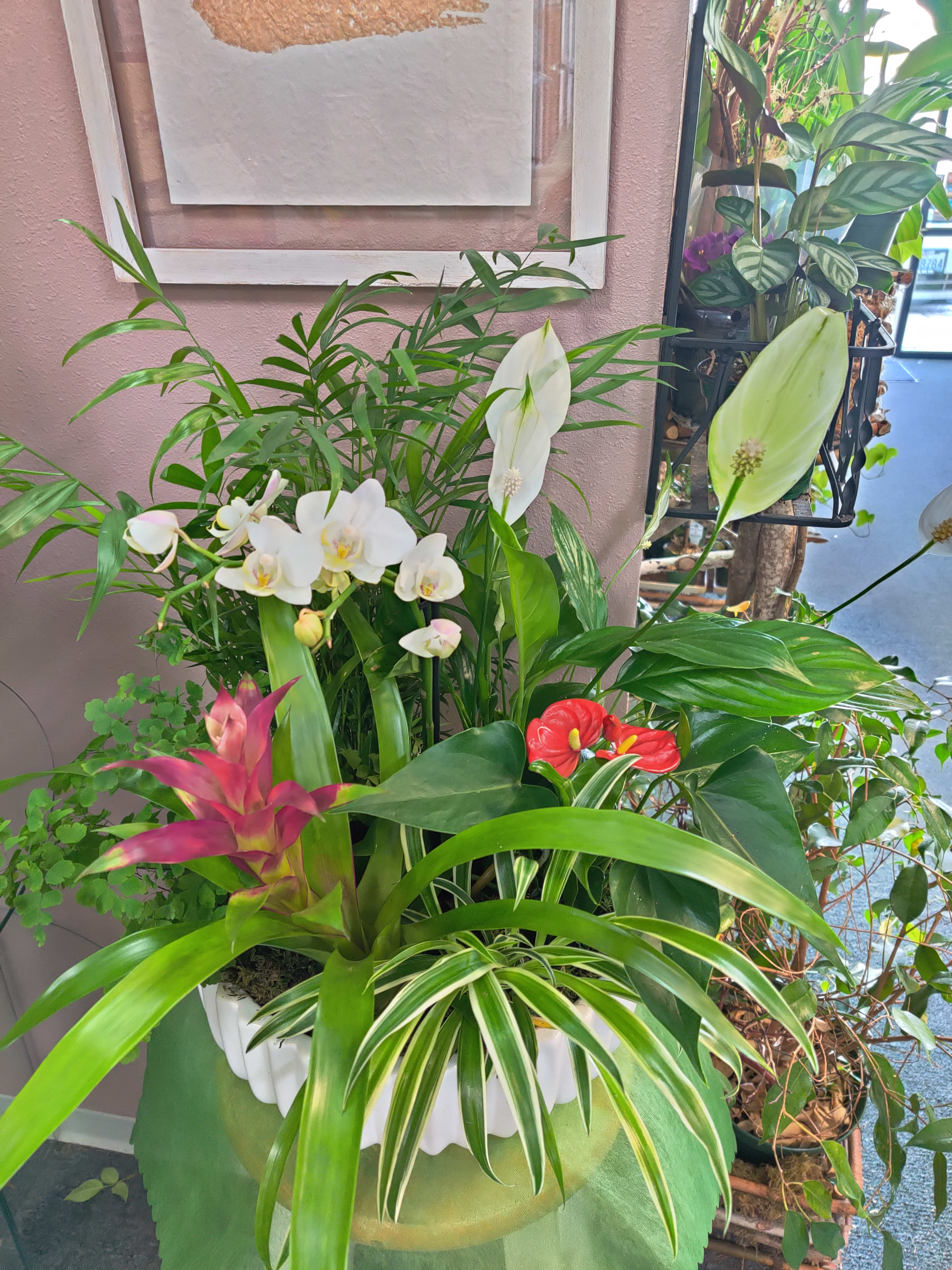 Tropical plant arrangement with white orchids and red anthuriums in a white container