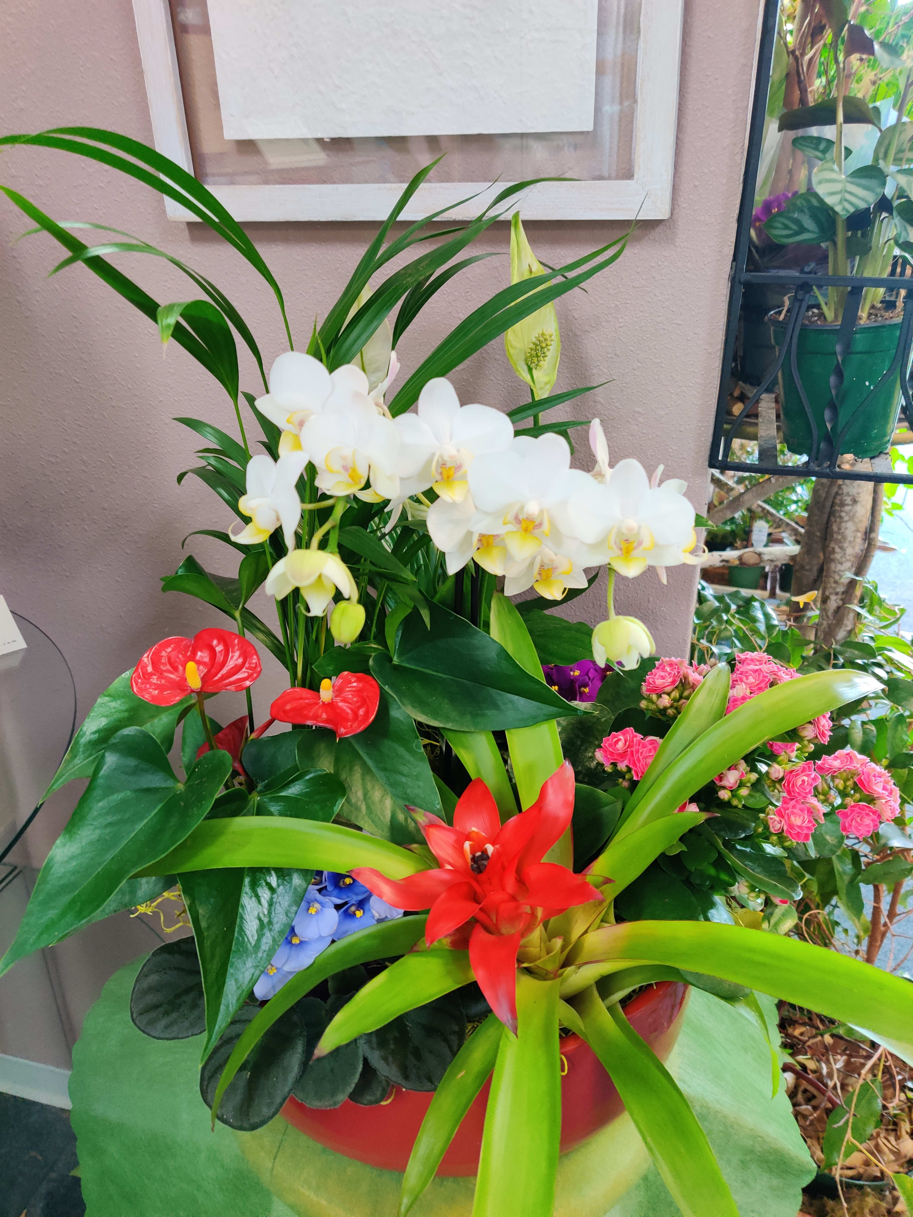 Mixed tropical arrangement with white orchids, red anthuriums, and pink blooms