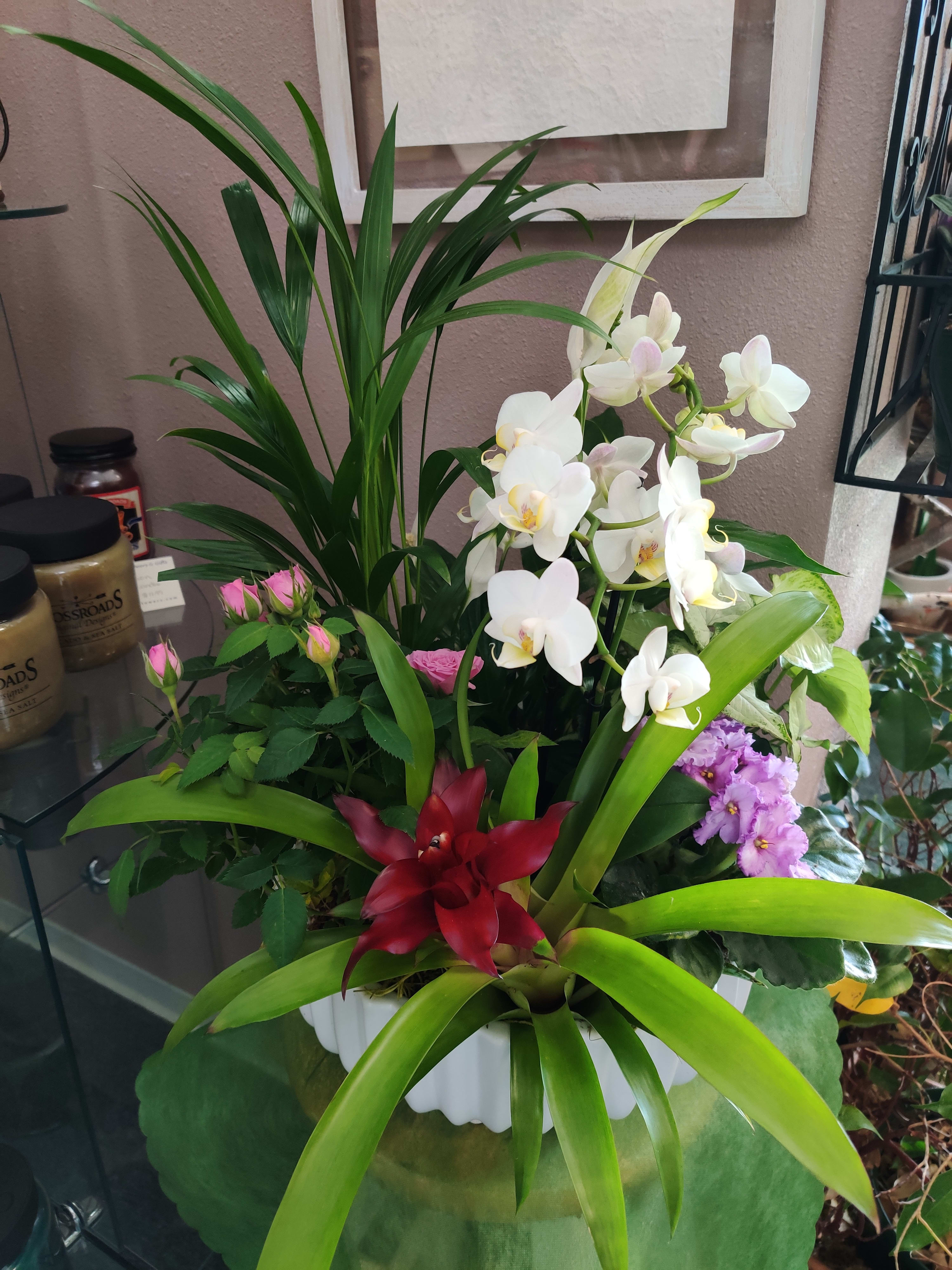 Mixed floral arrangement with white orchids, pink roses, and red tropical blooms in a white container