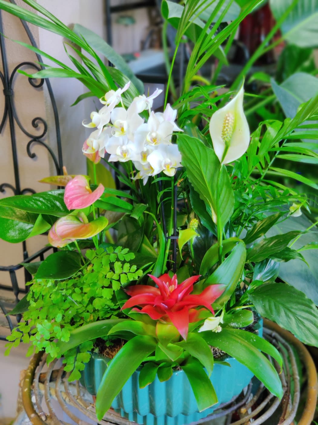 Tropical plant arrangement with white orchids, pink anthuriums, and a red bromeliad in a teal pot