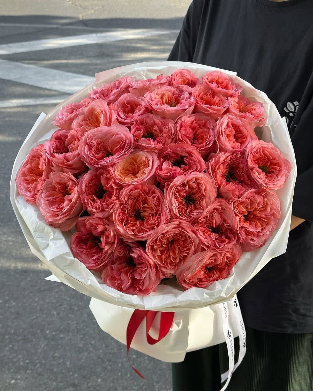Bouquet of pink ranunculus wrapped in white paper with a red ribbon