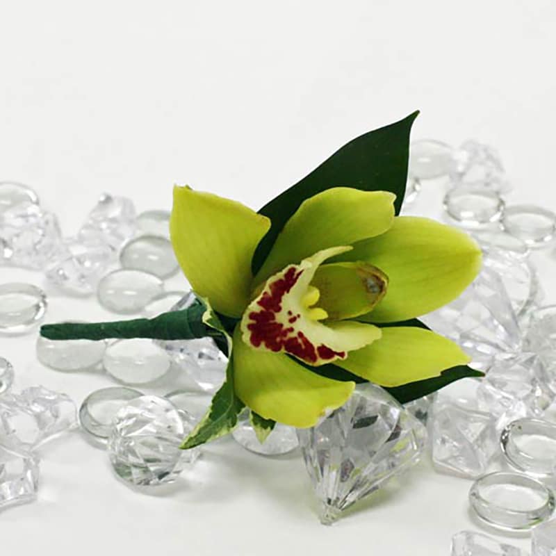 Green cymbidium orchid boutonniere surrounded by clear decorative gems on a white surface