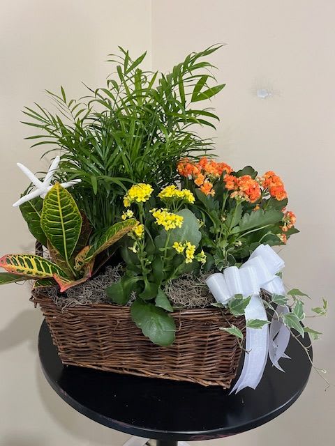 Mixed potted plants and small yellow and orange flowers in a wicker basket