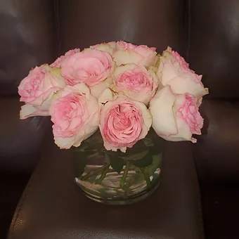 Low Cylinder dozen rose - Very decorative, large head roses cut short to the rim of a wide glass cylinder.  Simple but very elegant.