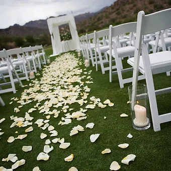 Wedding Decor - Decor can make an ordinary event  into an extrodinary event.  We offer draping, welcome tables, red carpets, flower wall etc.  All pricing depends on the items required.