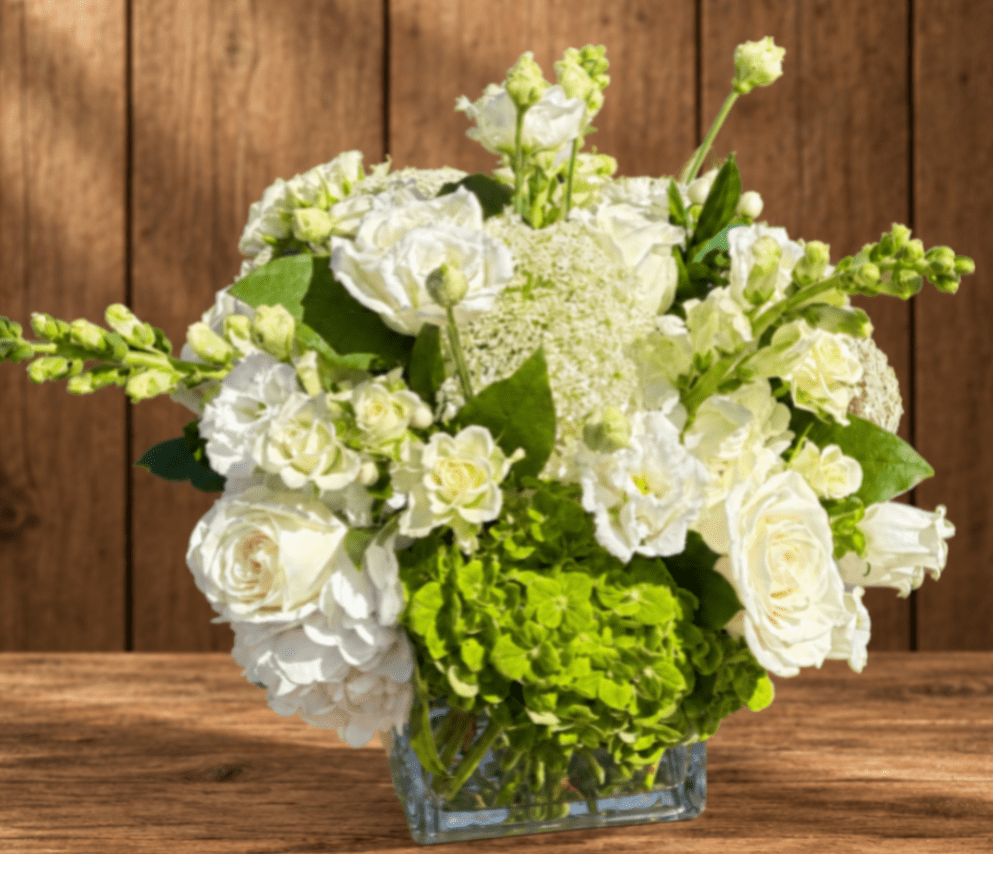White roses and green hydrangeas in a clear glass vase