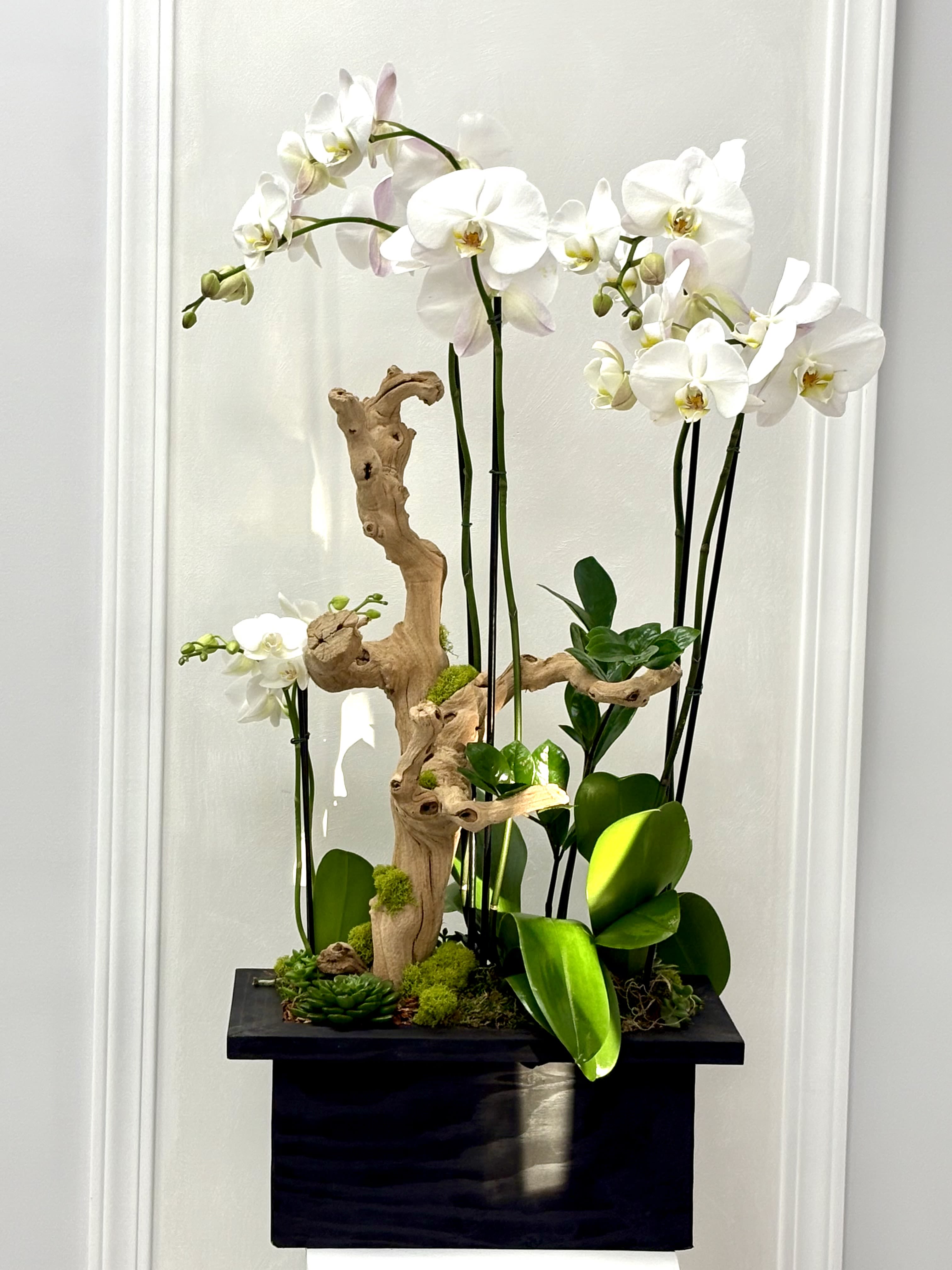 White orchids arranged with driftwood in a black planter
