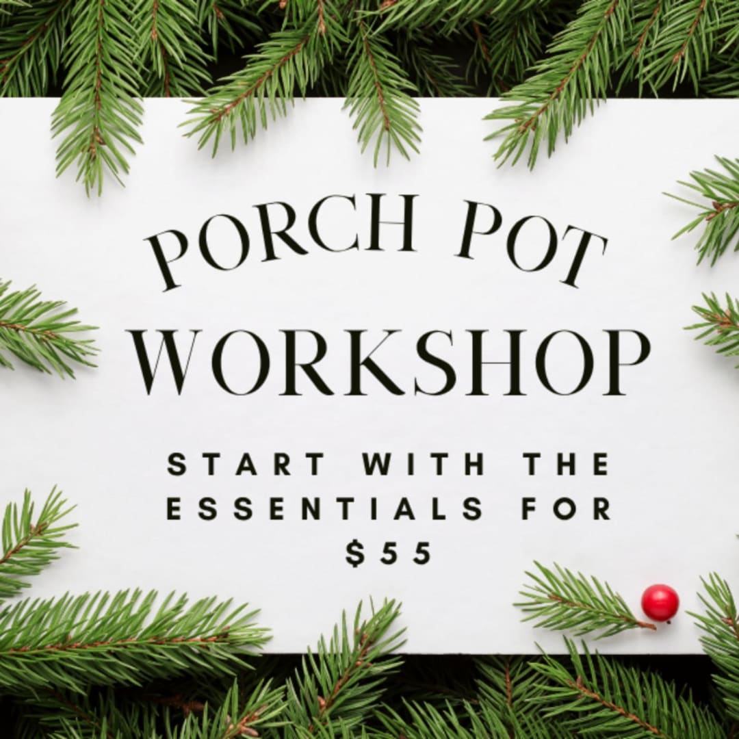 Sign reading "Porch Pot Workshop" framed by evergreen branches