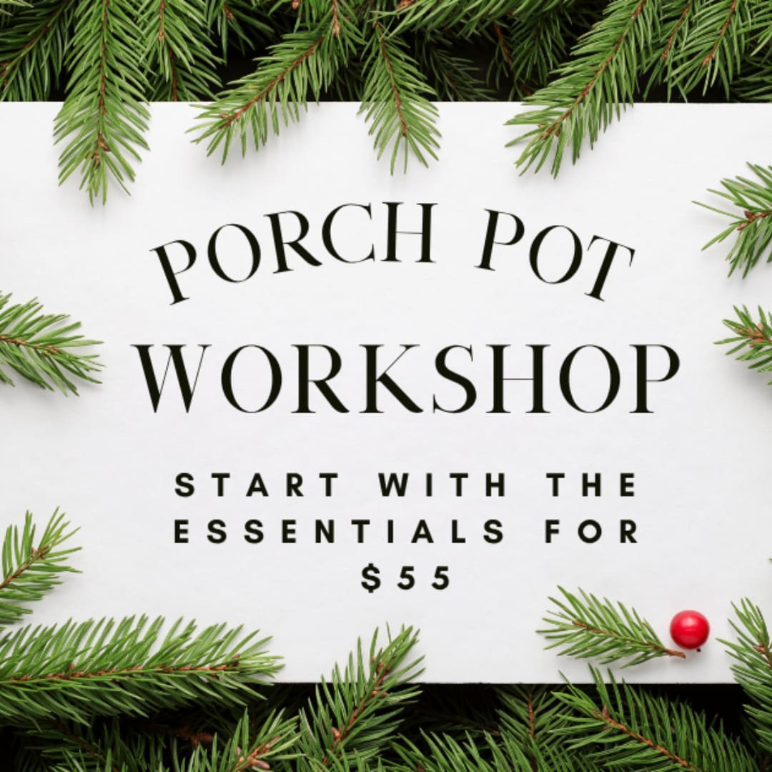 Porch Pot Workshop sign framed by evergreen branches