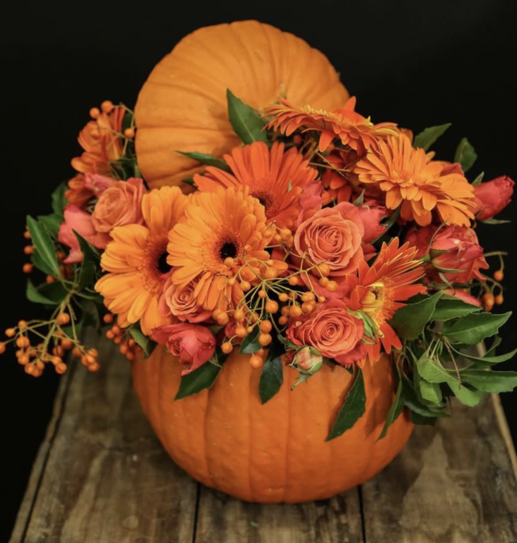 Autumn Blossom Delight  - Introducing our "Autumn Blossom Delight," a stunning bouquet featuring a vibrant mix of roses and gerbera daisies artfully arranged in a charming pumpkin. This seasonal centerpiece bursts with color, combining the romantic elegance of roses with the cheerful charm of gerberas. Lush greenery surrounds the blooms, adding a fresh, natural touch that complements the warm hues of autumn. Perfect for fall celebrations or as a delightful gift, this arrangement brings a touch of festive spirit to any occasion, capturing the beauty of the harvest season in every detail. Brighten up your space with this eye-catching display!