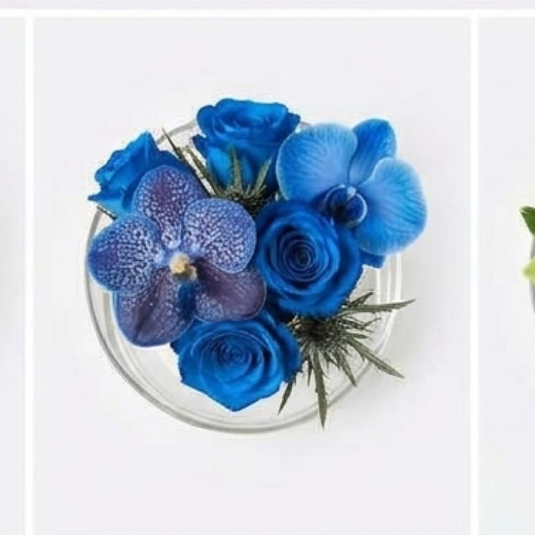 Blue orchid and rose boutonniere in a clear round holder