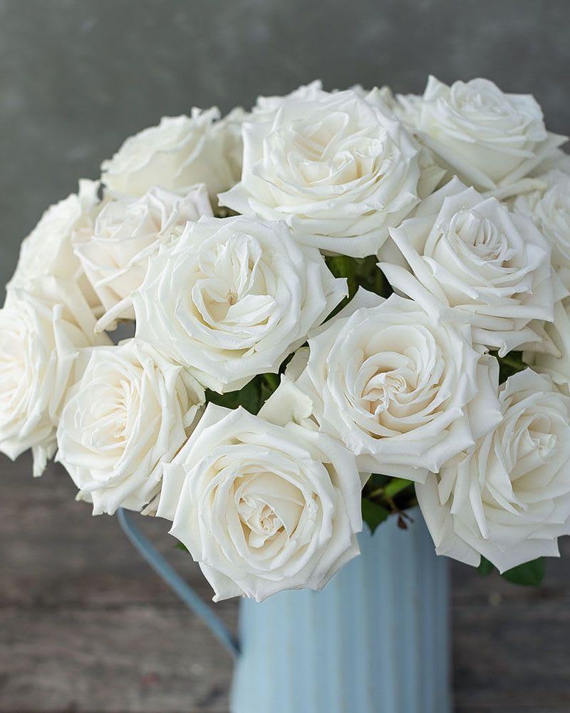 Bouquet of white roses in a pale blue vase