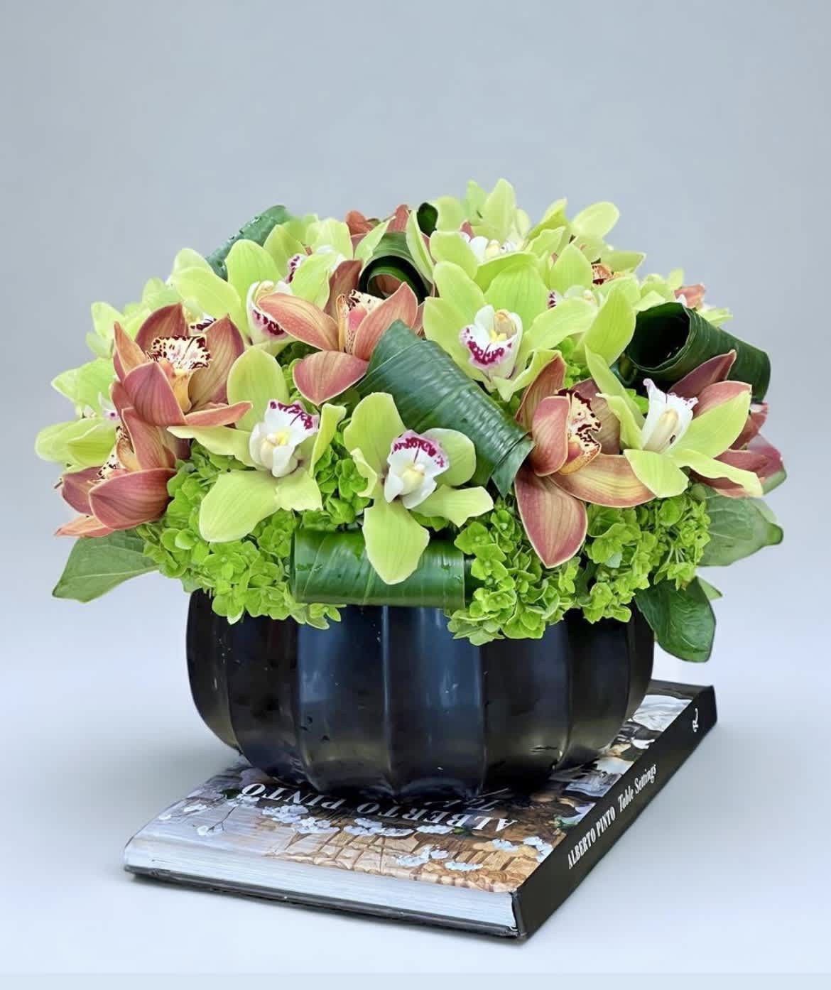 Amber Orchid Cymbidium Orchid and Hydrangea Arrangement - A compact dome of green Cymbidium Orchid blooms-softly warmed by peach accents and white throats-creates a modern, sculptural focal point for a birthday bouquet, anniversary gift, or just-because surprise. This orchid arrangement reads contemporary and confident; the person you're thinking of will feel truly seen when these lush, textural blooms arrive, perfect for celebrations or to brighten a work desk or coffee table in Los Angeles.  The design pairs clustered Cymbidium Orchid and orchids with a collar of bright green Hydrangeas that gives the piece a full, tactile base. Curled glossy leaves weave through the top for sculptural lines, and touches of yellow and white in the blooms add light and depth against the green and orange-leaning palette. It comes presented in a rounded black ceramic vase set on a hardcover book for a polished, ready-to-display look. Ideal for someone who appreciates refined, contemporary style, this arrangement is delivered arranged and ready to place-no assembly required-and will make an immediate, elegant impression.