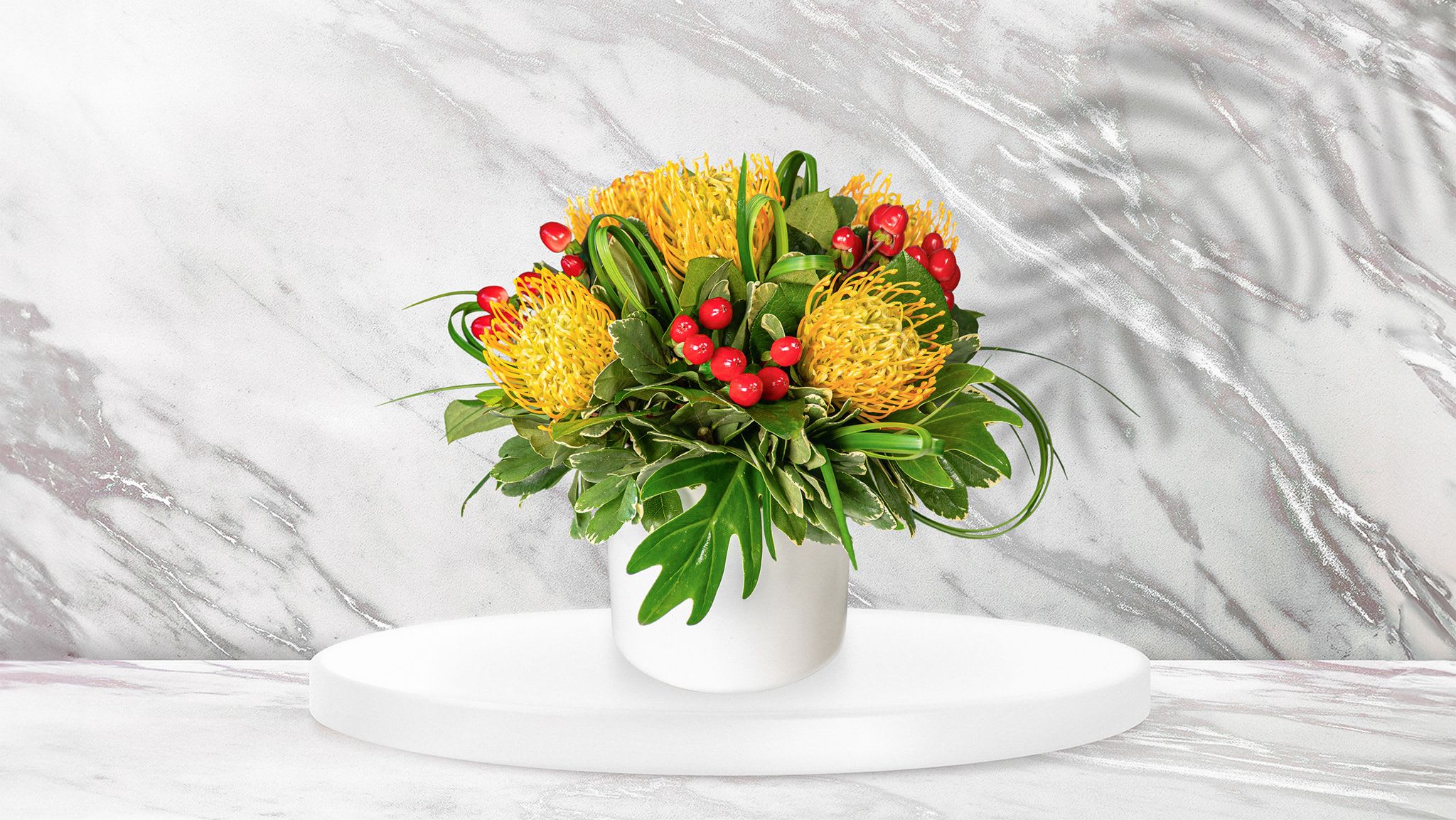 Pin Cushion  - A cluster of sunny yellow pincushion-style blooms commands the scene in this cheerful flower arrangement - a lively everyday floral accent or a festive touch for autumn and holiday décor. This flower arrangement is perfect for brightening a kitchen table, desk, or as a seasonal hostess gift that will make the person you're thinking of smile with its warm, uplifting palette.  The composition pairs those bright yellow tropical-like pincushions with a dense base of mixed green foliage and small red berry accents for contrast, all arranged low in a smooth white ceramic pot. Compact and rounded, the design reads clean and modern while still feeling abundant; the combination of yellow, green, red, and touches of white creates a fresh, slightly festive look without feeling over-the-top.  Give this arrangement to someone who enjoys bold color and simple, modern styling - it's the kind of gift that feels thoughtful for housewarmings, autumn gatherings, or to say you're thinking of them during the holidays. The low-profile ceramic pot makes it easy to place on a table or shelf; like most cut flowers, keep water fresh and trim stems as needed to maintain peak color and vitality.