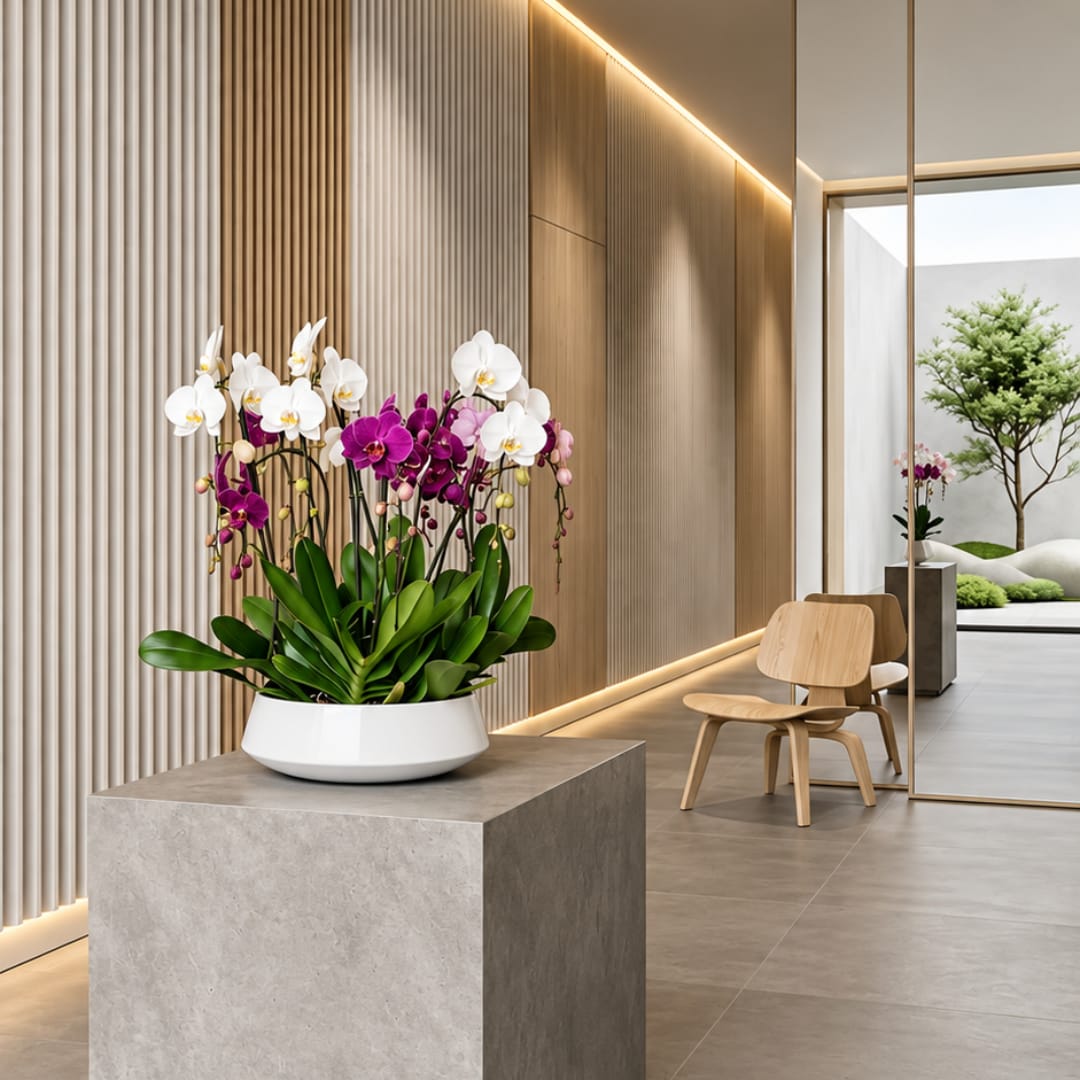 White and purple orchids in a white bowl planter on a pedestal