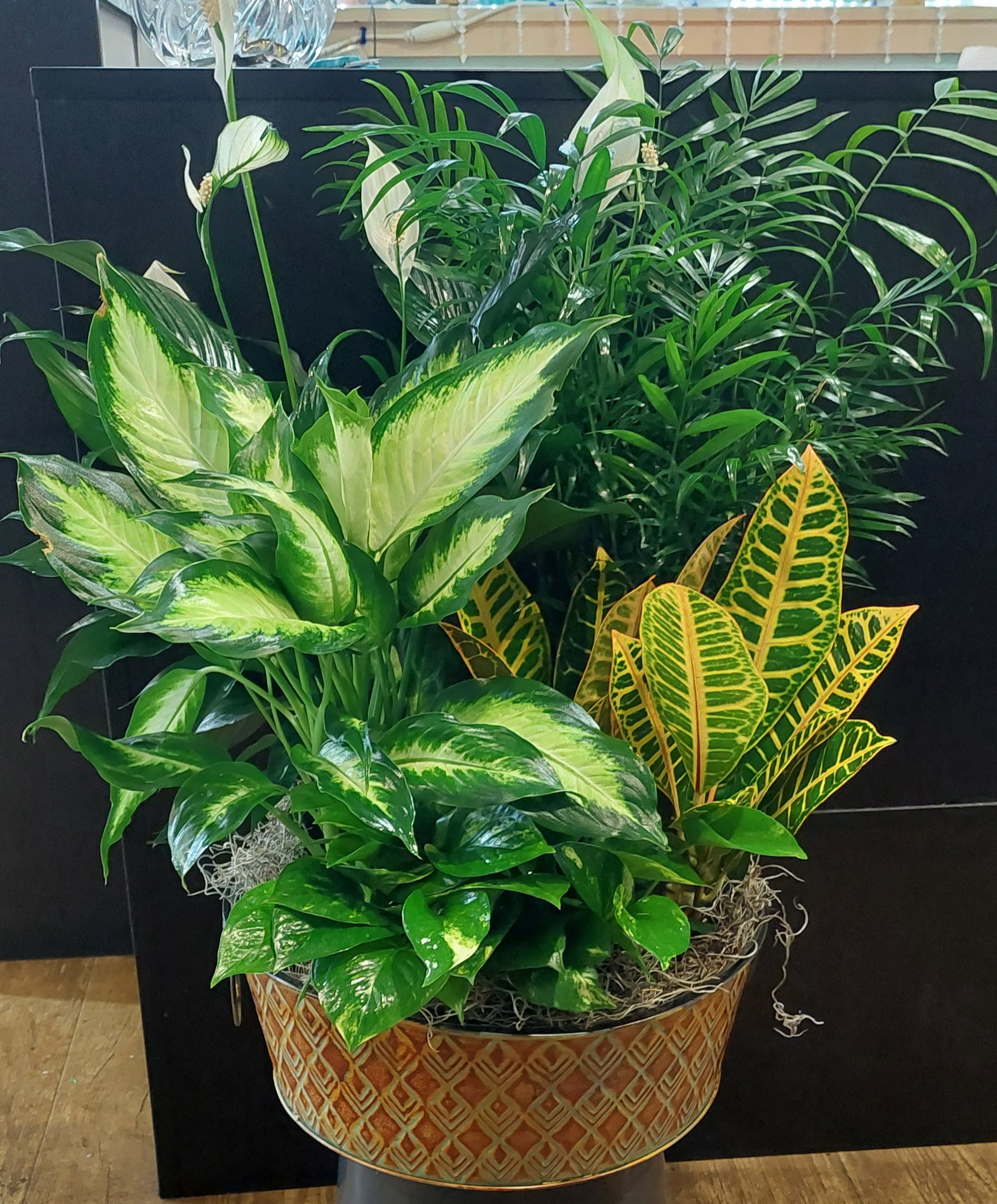 Mixed tropical houseplants in a patterned basket planter