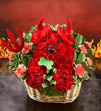 Devil Dog - Whether they've been a good dog or a bad dog, our truly original a-DOG-ableÂ® arrangement is sure to unleash smiles for all ages. Crafted using the freshest red carnations, this mischievous mutt arrives decorated with devil horns and a pitchfork. Double their fun by pairing the devilish doggie with an angelic pooch made with white carnations, gold angel wings and a halo.