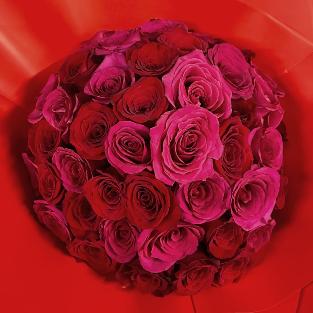 Bouquet of red and pink roses in red wrapping
