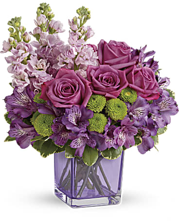 Teleflora's Sweet Sachet Bouquet - Sweet as can be! Hand-delivered in a chic lavender cube, this marvelous mix of jewel toned blooms is a touching way to celebrate someone special on their birthday or any day. Lavender roses, purple alstroemeria, light pink stock and green button spray chrysanthemums are accented with variegated pittosporum. Delivered in a lavender cube vase.