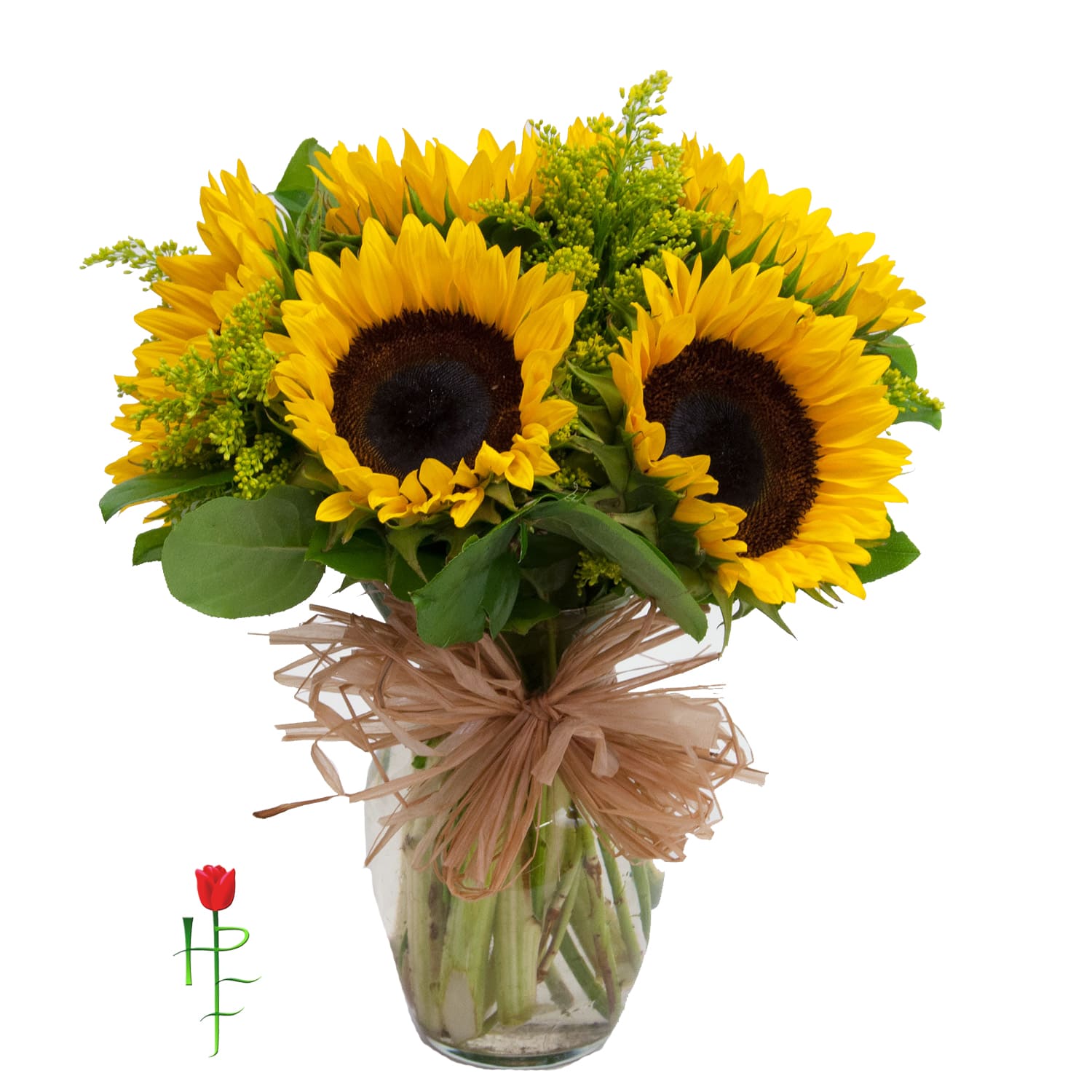 Blooming Sunflowers  - Arrangement comes with fresh Sunflowers, foliage and solidaster  arrange in a glass vase