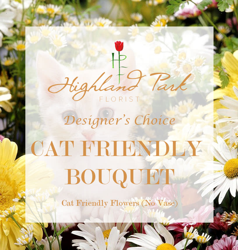 Cat-friendly bouquet with daisies and mixed flowers