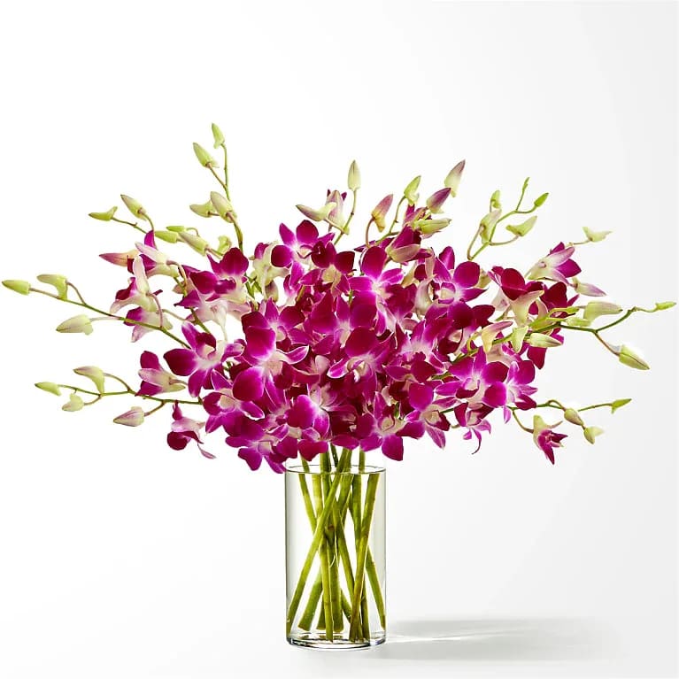 Purple orchids arranged in a clear glass vase