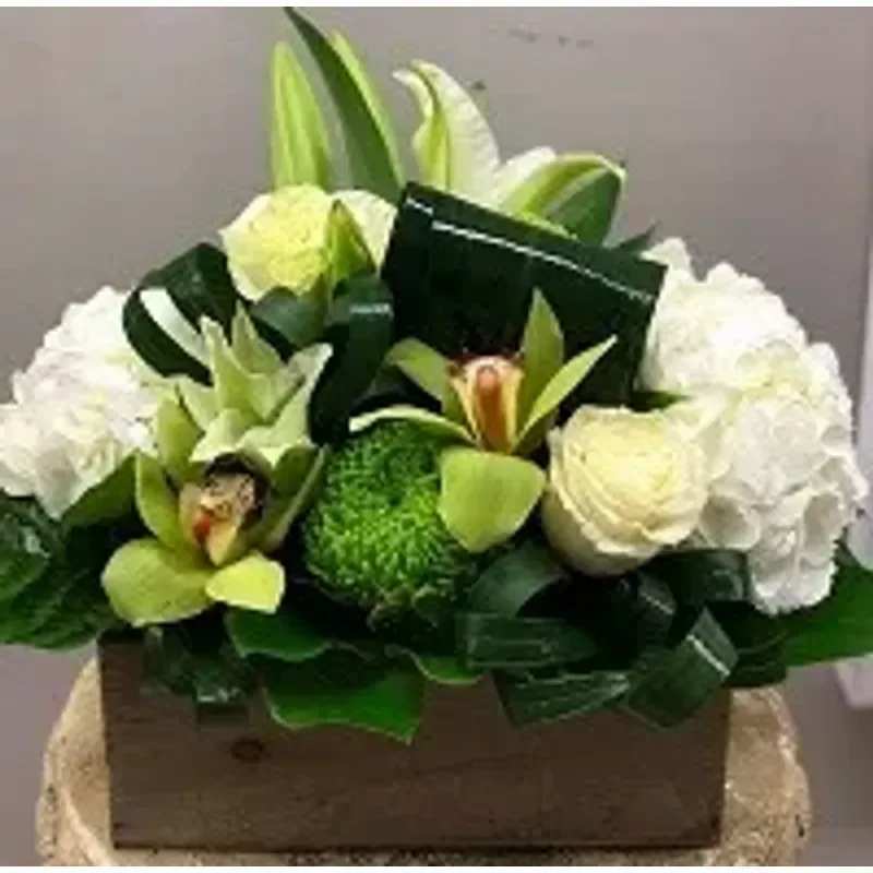 Orchid Bliss - Beautifully arranged Box of orchids and seasonal flowers. 