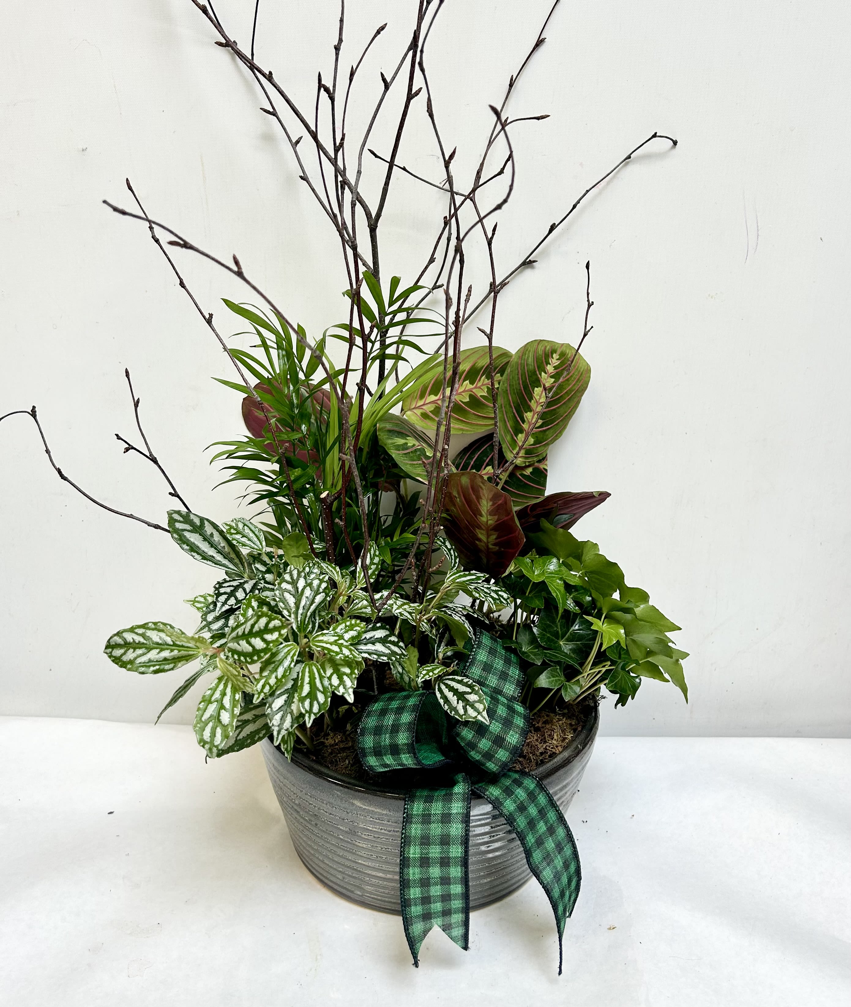 Potted mixed foliage arrangement with a green plaid ribbon