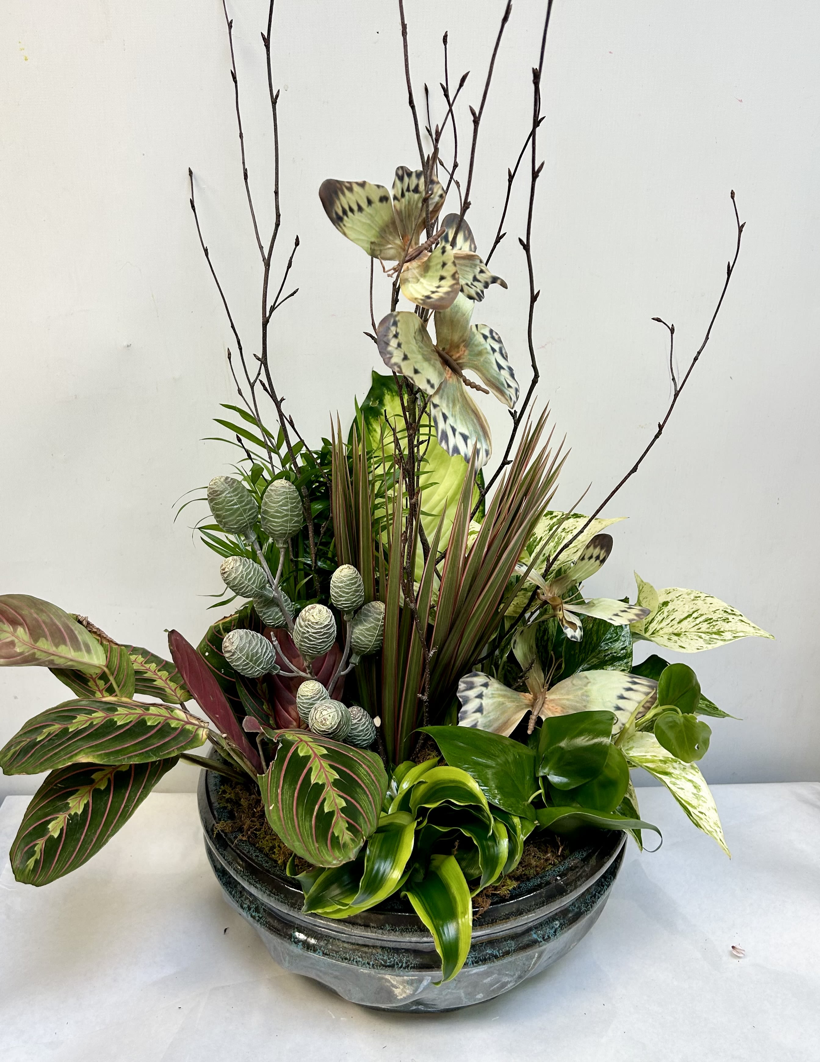 Mixed tropical plant arrangement in a low glass bowl with tall branches