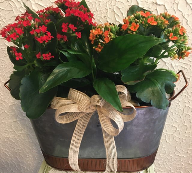 Potted flowering plant with red and orange blooms in a metal container