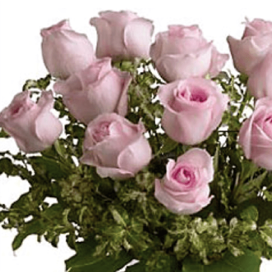 Bouquet of pale pink roses with green filler