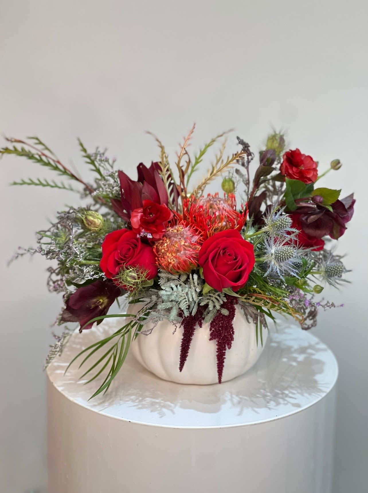 Ceramic Pumpkin with fall flowers ™ - This rich and dramatic arrangement bursts with deep red roses, fiery orange pincushion proteas, and burgundy blooms, beautifully balanced by textured greenery and silvery foliage. Designed in a white pumpkin vase, it captures the warmth and elegance of autumn with a modern twist. Perfect for seasonal celebrations or as a striking centerpiece, it radiates cozy sophistication and natural beauty.