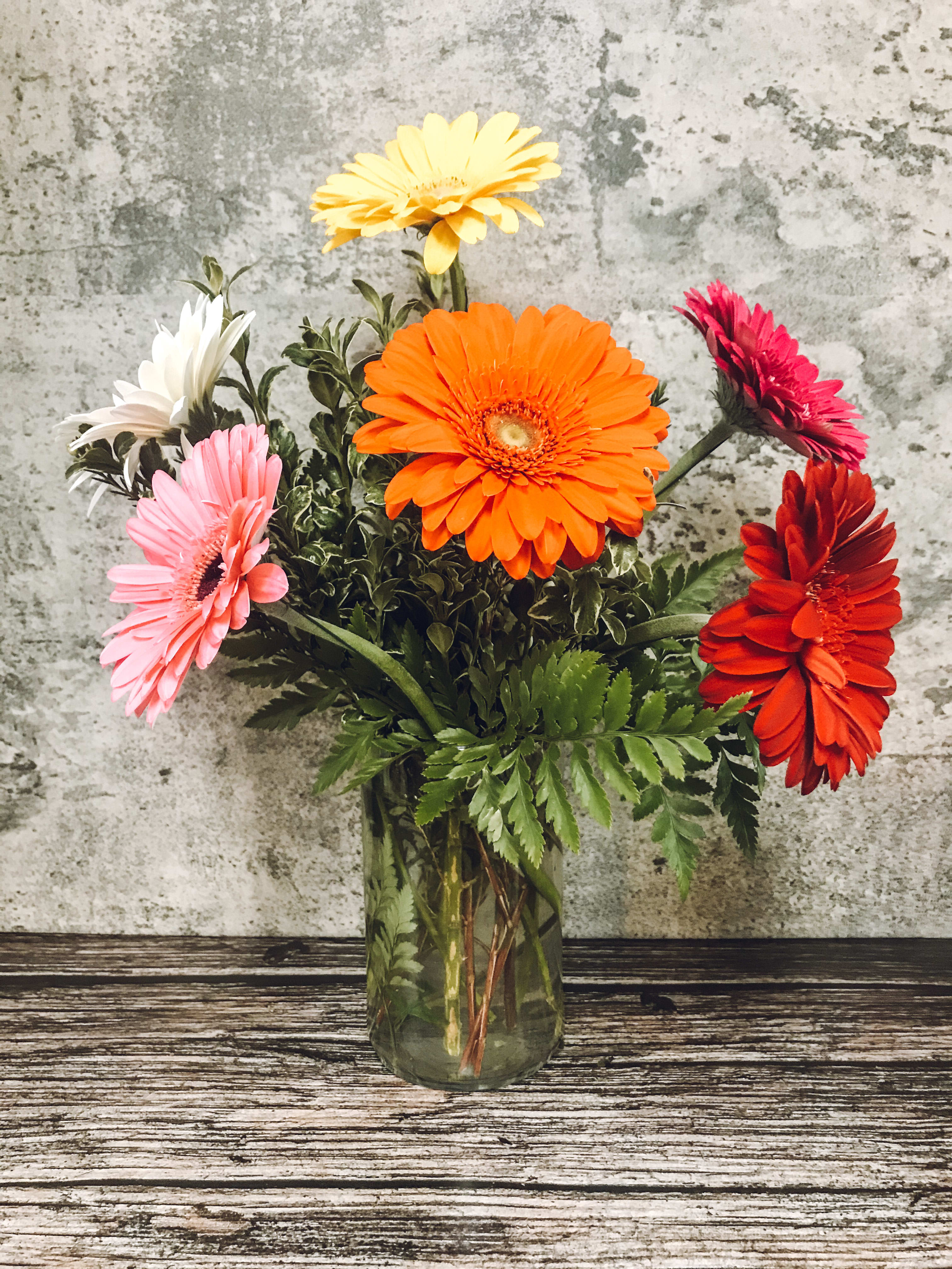 Colorful gerbera daisies arranged in a glass vase