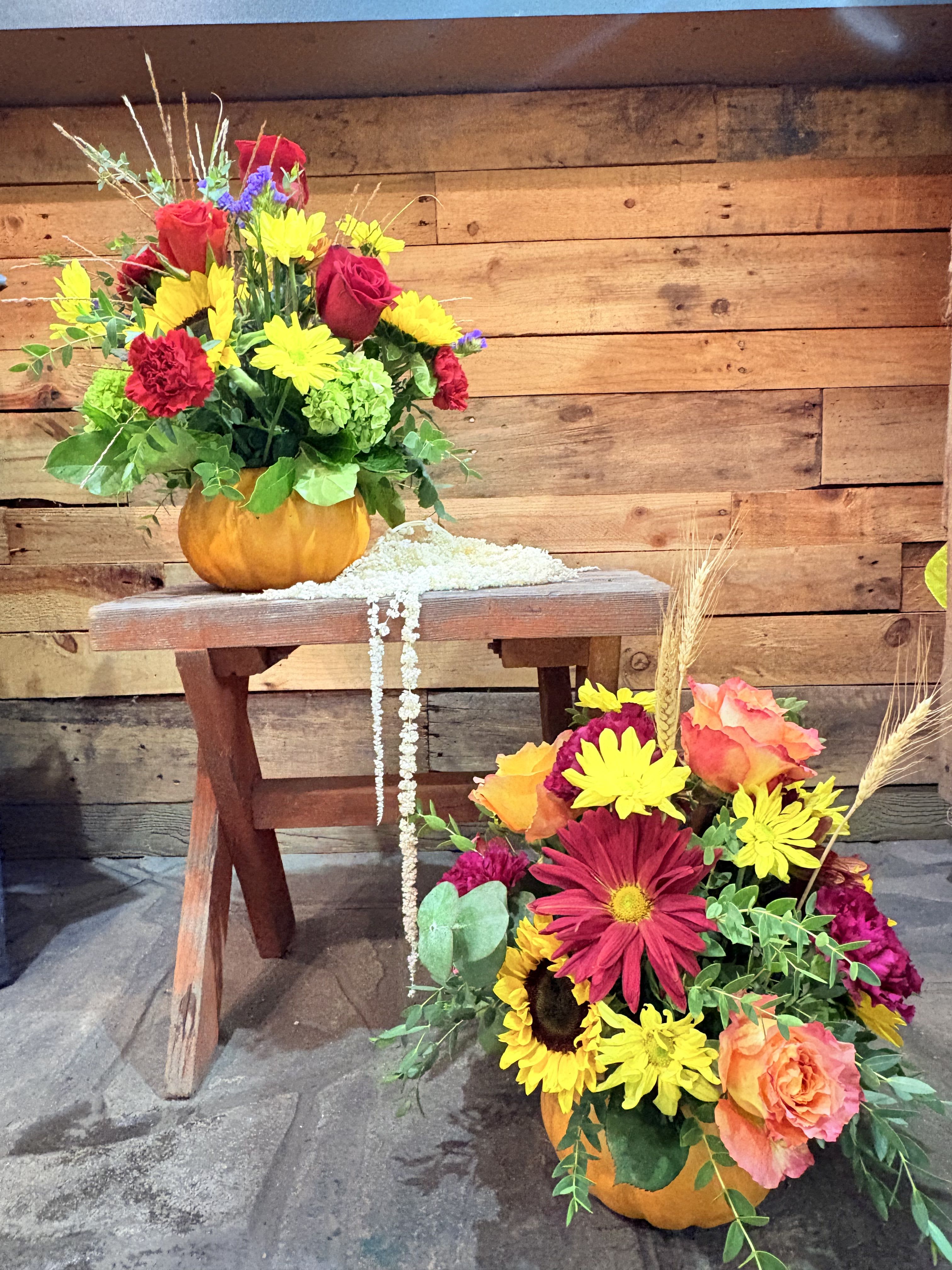 Fall Pumpkin - Celebrate fall with this bright and bold design designers choice! We use a mixture of local and imported blooms to create an impact in this versatile vase arrangement. (**Colors and flower varieties may vary)