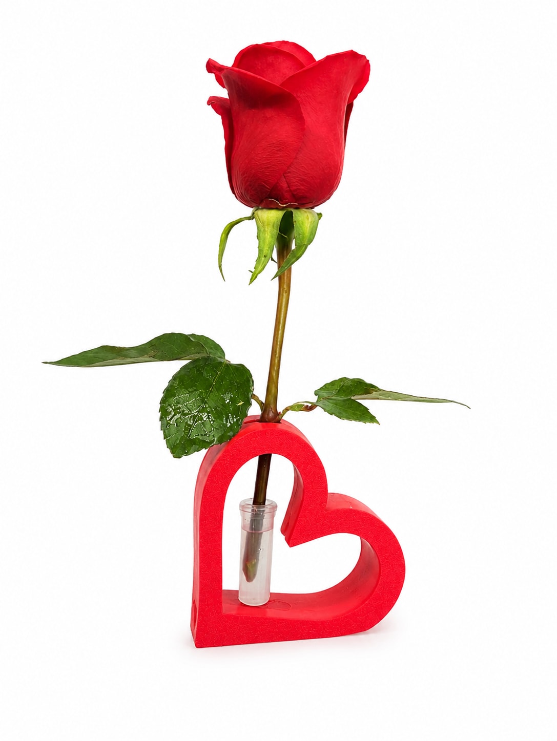Single red rose in a heart-shaped holder