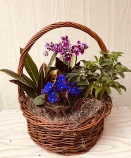 Potted orchids and greenery arranged in a wicker basket