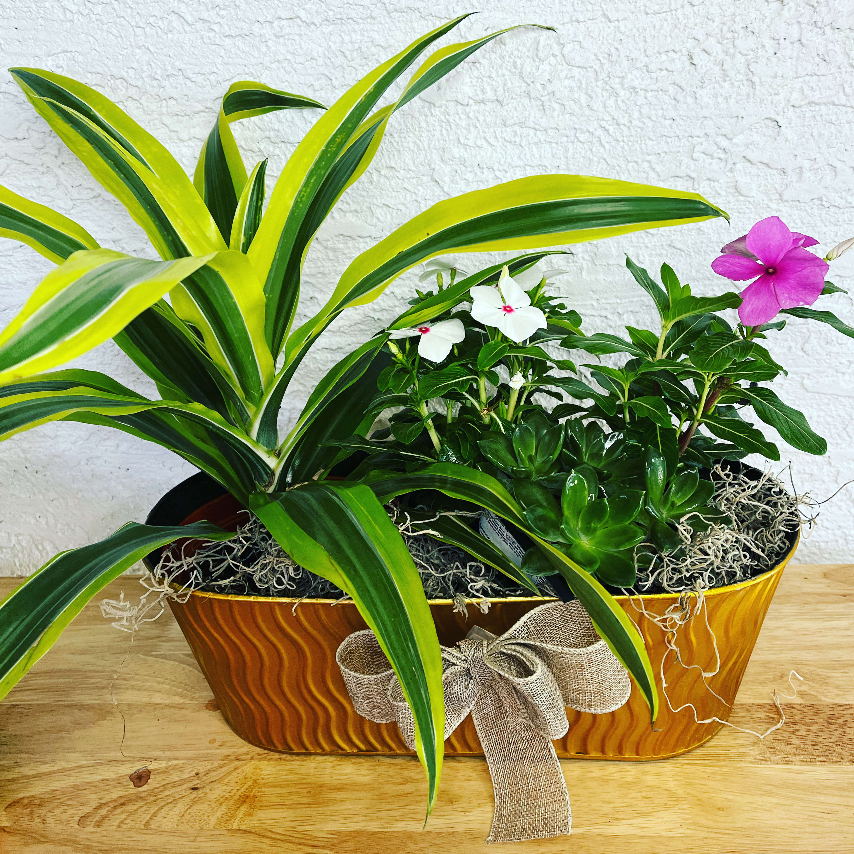 Mixed potted plants with white and pink flowers in a decorative container