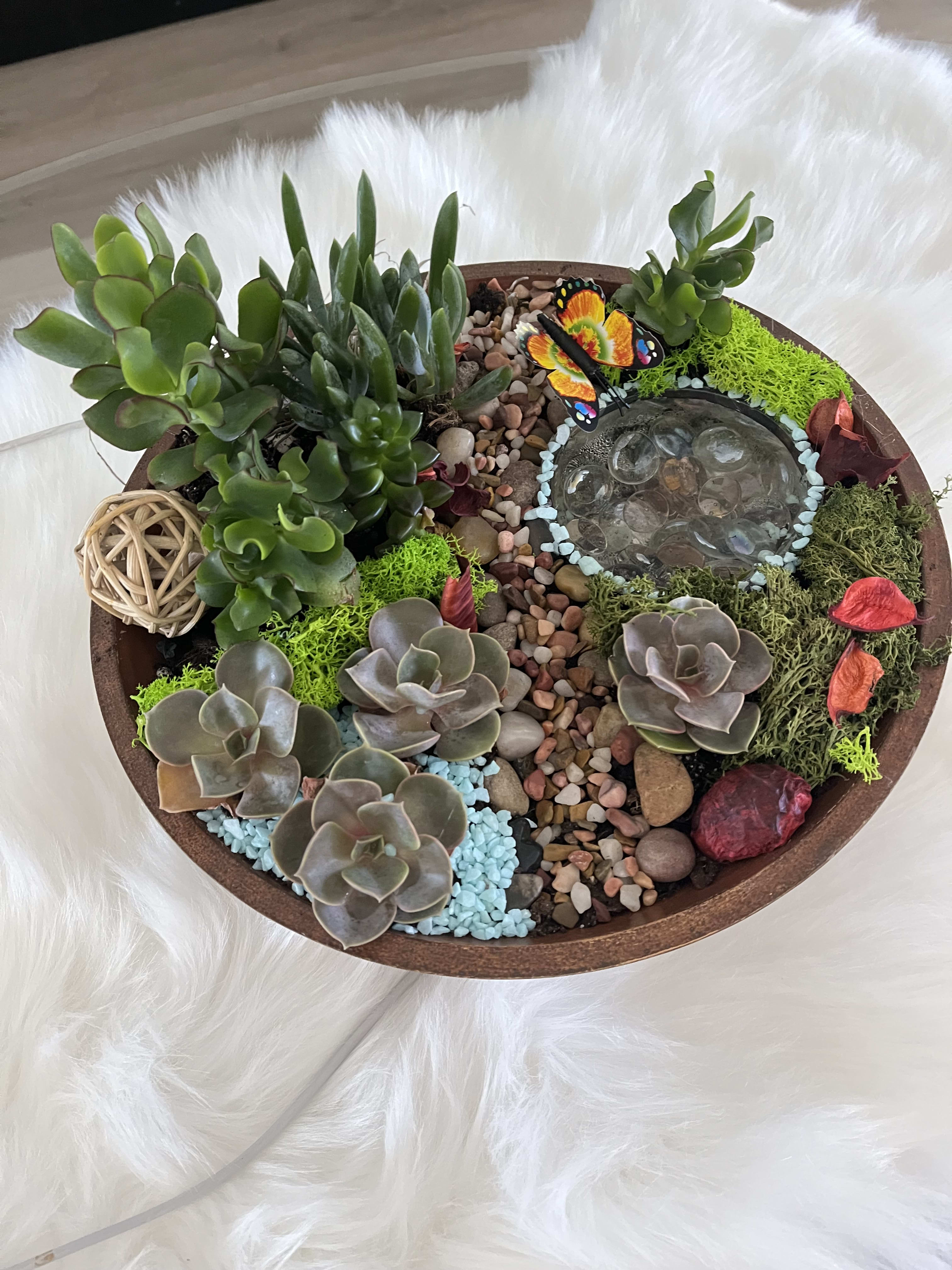 Round succulent dish garden with pebbles and a butterfly ornament