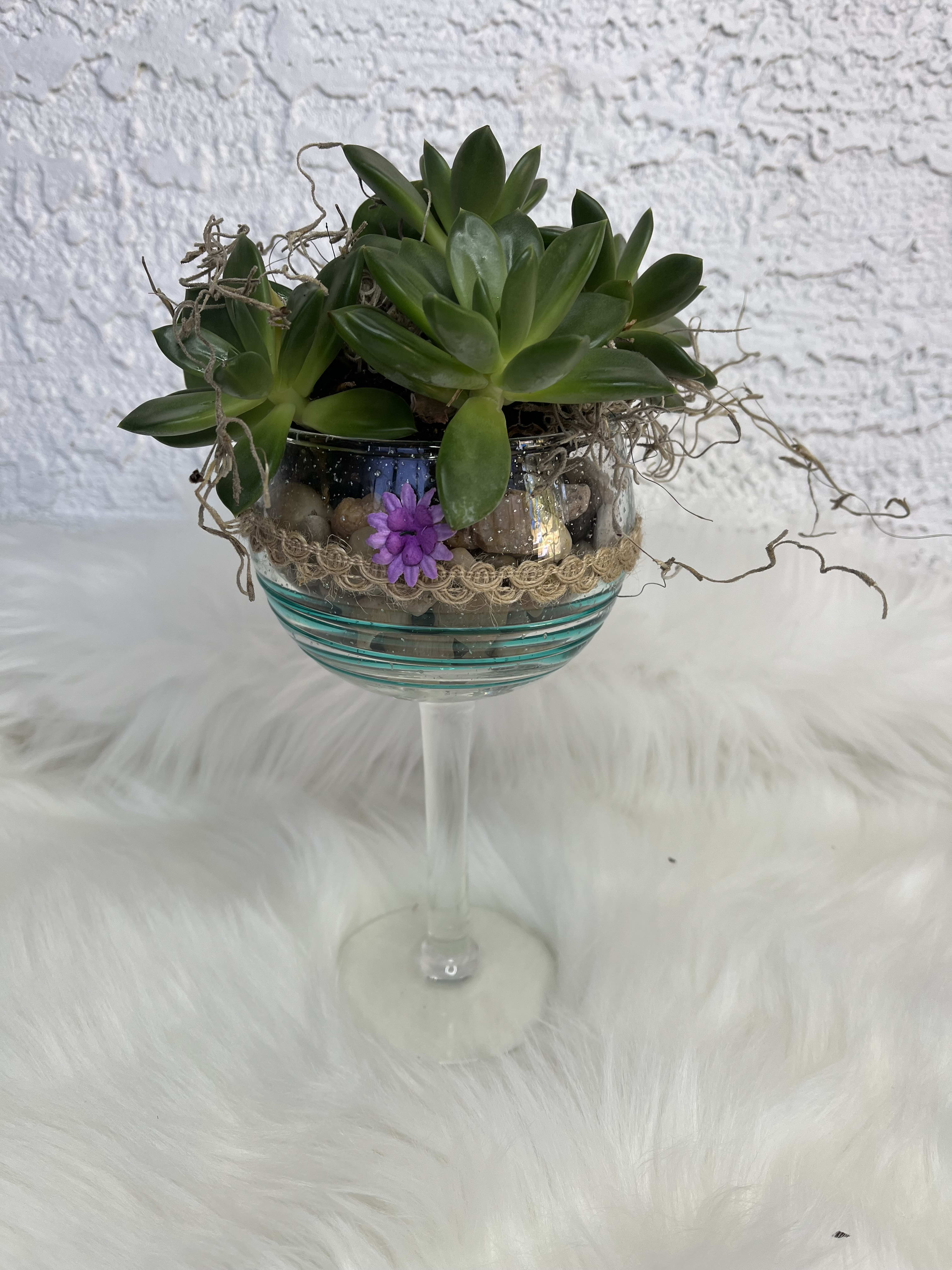 Succulent arrangement in a glass goblet with a small purple flower accent