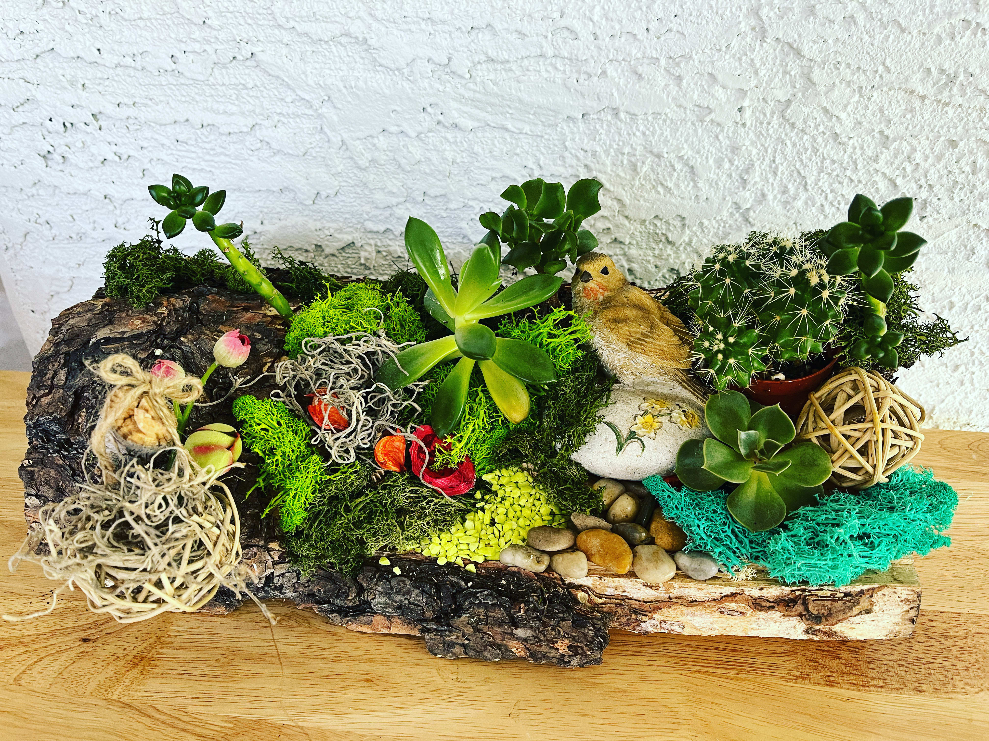 Succulent and cactus arrangement on a bark base with a small bird figurine
